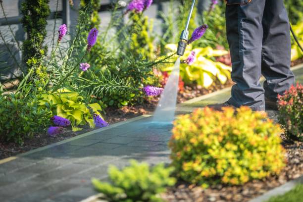 Best Deck and Patio Pressure Washing in Pender, NE